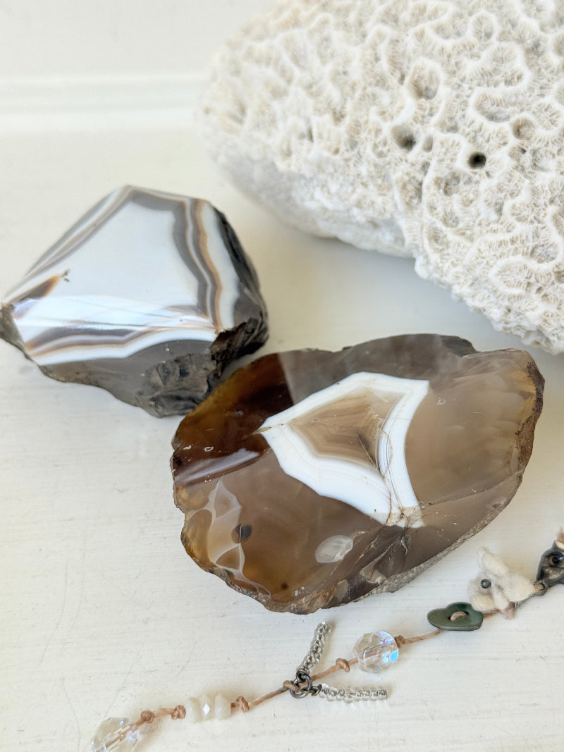 Pair of polished orca agate specimens with cream, brown and grey banding, photographed on a white surface