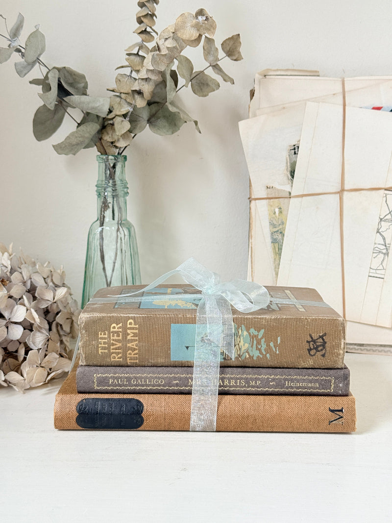 Bundle of vintage hardback books in brown, tan and navy tied with a pale blue satin ribbon for shelf and table styling