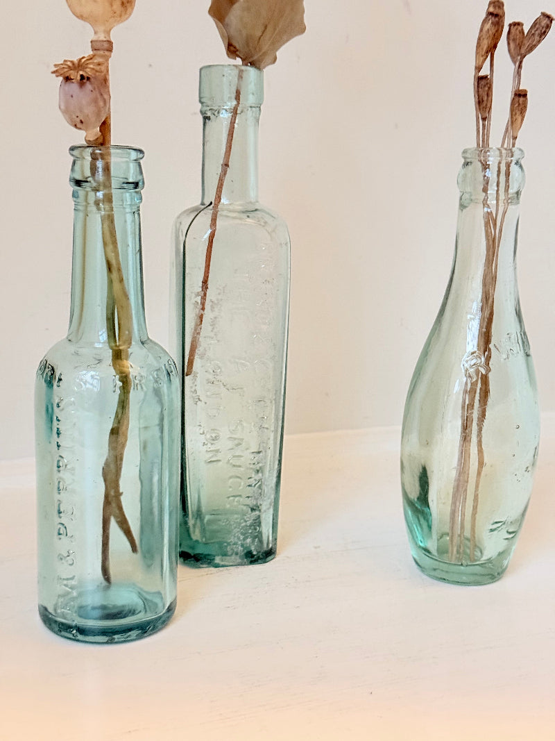 Trio of antique aqua glass bottles with embossed lettering, photographed on a white surface with dried stems