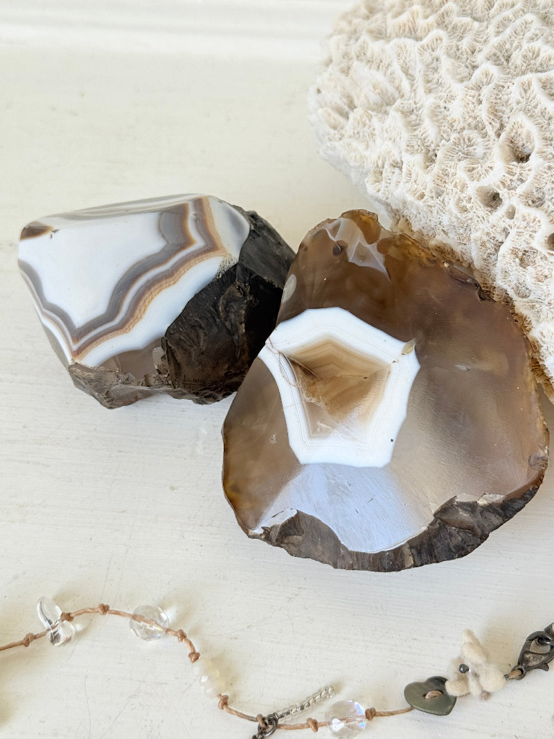 Pair of polished orca agate specimens with cream, brown and grey banding, photographed on a white surface
