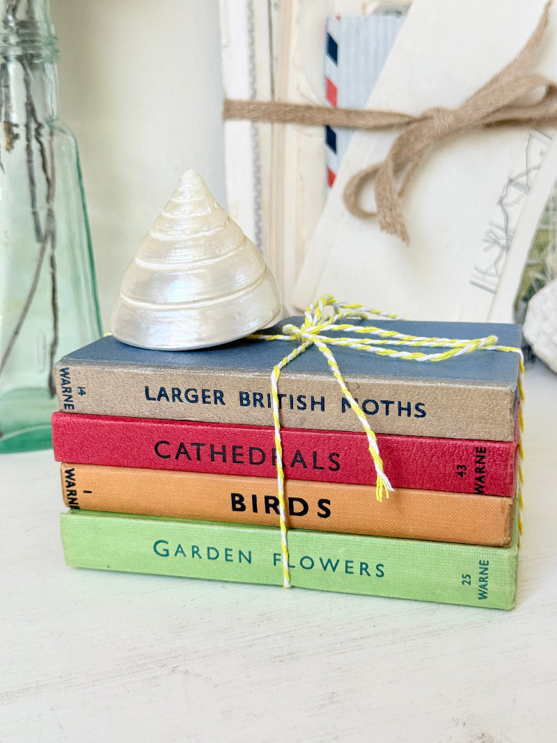 A stack of four vintage hardcover books tied with yellow string, topped with a white seashell. The books are labeled &
