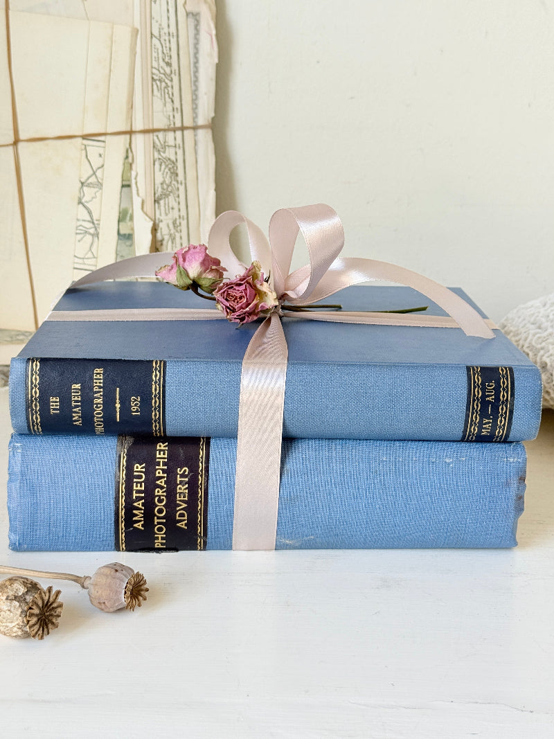 Vintage decorative blue book bundle with pale pink ribbon, dried rose detail and aged hardback covers for shelf styling