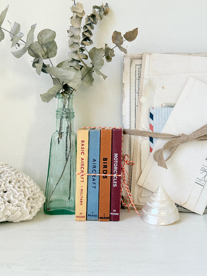 A styled tabletop arrangement featuring a set of six colorful vintage model airplane books standing upright next to a tall translucent green glass bottle with eucalyptus stems, a white crochet knit item, and a stack of old books tied with twine.