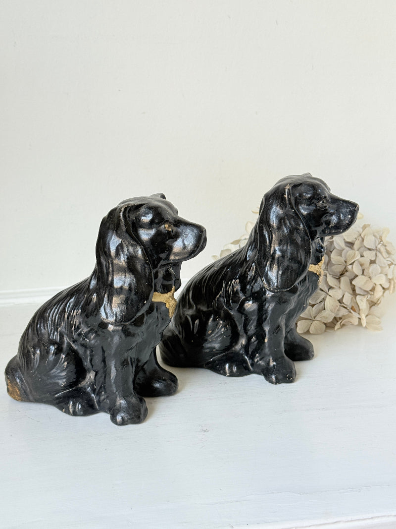 Two glossy black ceramic dog figurines, resembling Cocker Spaniel dogs, sitting side by side on a white surface against a white wall, with a decorative dried flower behind them.