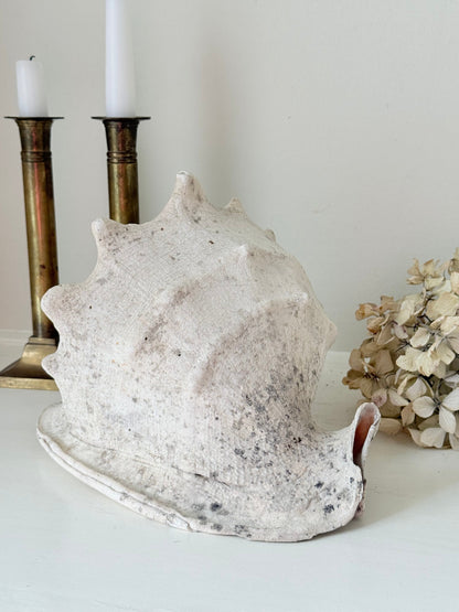 Large vintage Queen Helmet shell with ridged dome and cream tones, styled on a white surface beside brass candlesticks and dried hydrangeas.