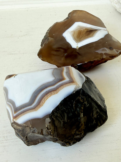 Pair of polished orca agate specimens with cream, brown and grey banding, photographed on a white surface
