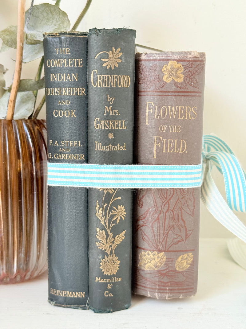 Bundle of antique books with decorative spines tied with ribbon, styled on white surface with dried flowers