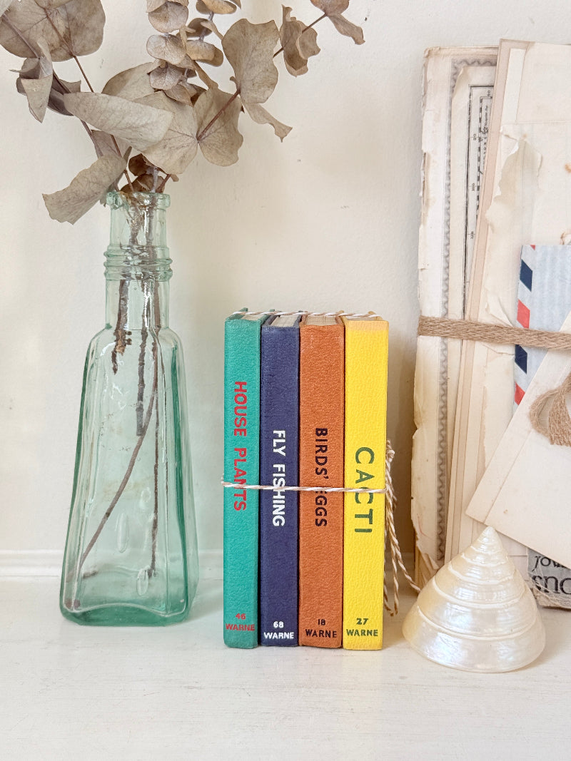 A styled tabletop scene with a clear glass bottle holding dried eucalyptus stems, a small stack of colorful books, a distressed paper envelope, and a white seashell on a light surface against a cream wall.