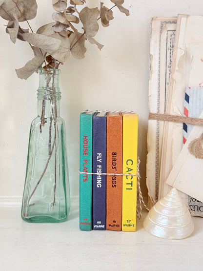 A styled tabletop scene with a clear glass bottle holding dried eucalyptus stems, a small stack of colorful books, a distressed paper envelope, and a white seashell on a light surface against a cream wall.