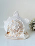 Vintage Queen Helmet shell in cream and peach tones with patterned surface, styled on a white surface beside dried hydrangeas.
