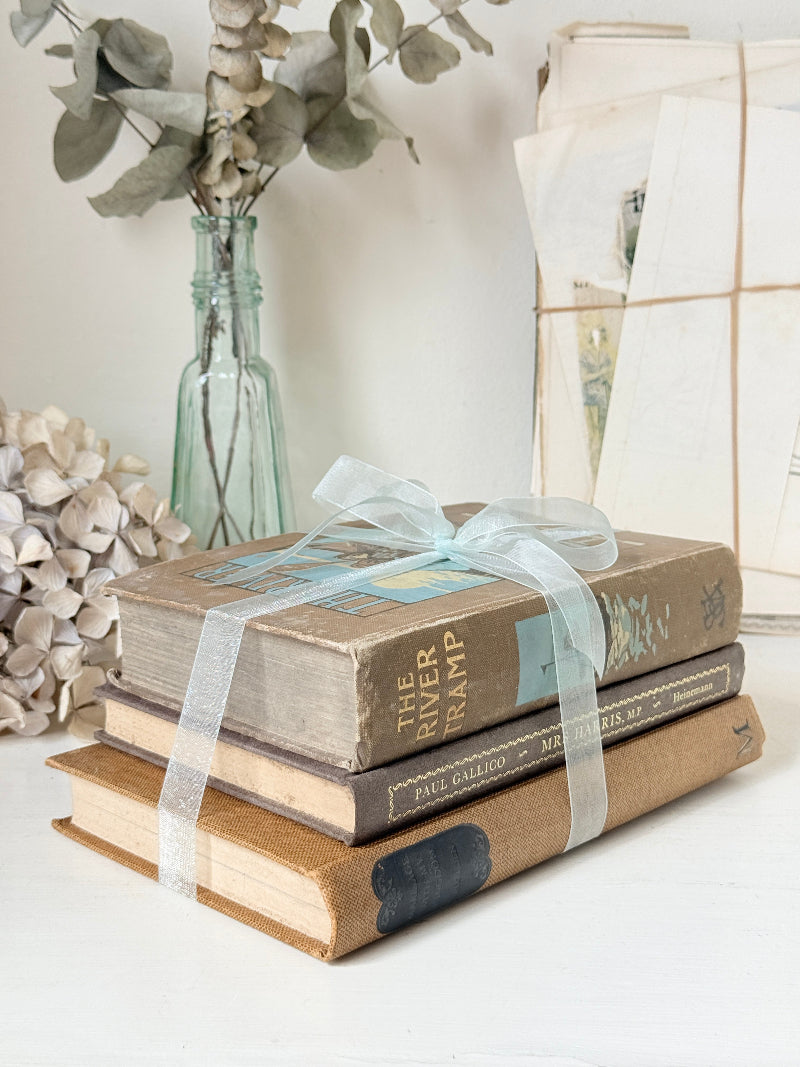 Bundle of vintage hardback books in brown, tan and navy tied with a pale blue satin ribbon for shelf and table styling