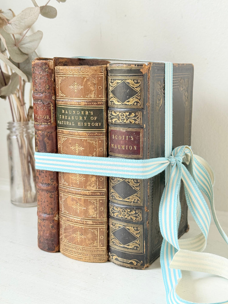Antique leather bound decorative book bundle tied with pale blue ribbon, photographed on a white surface