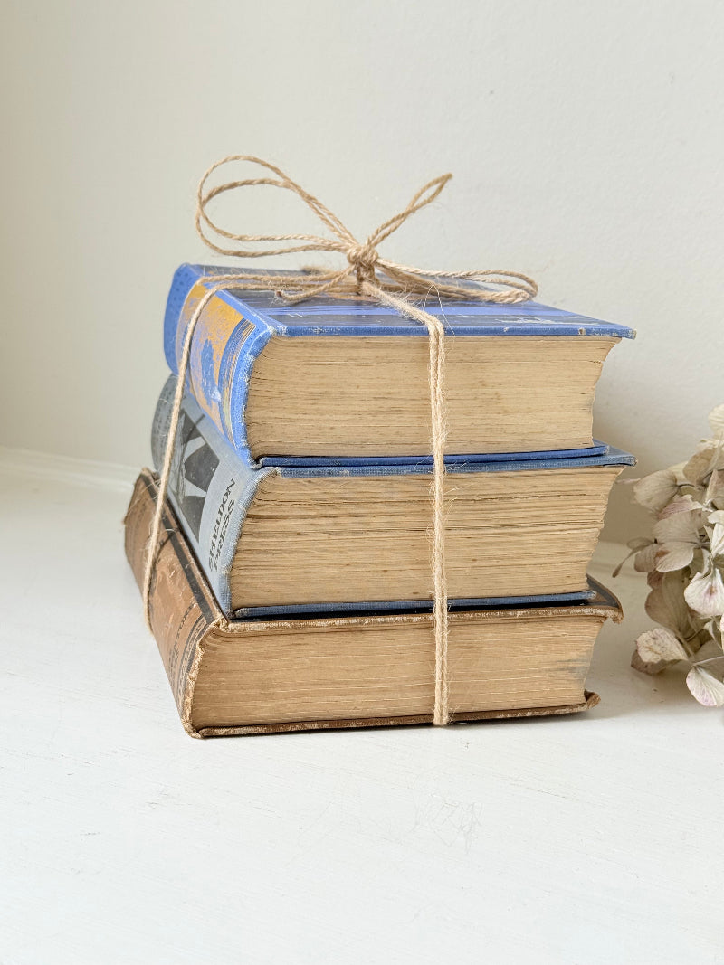 Vintage book bundle in blue, brown, and cream with printed lettering, tied with twine, photographed on a white surface