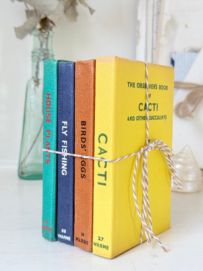 Four decorative hardcover books tied together with twine, standing upright on a white surface. The spines read House Plants, Fly Fishing, Birds of Eggs, and Cacti, with bright teal, navy, terracotta, and yellow covers.