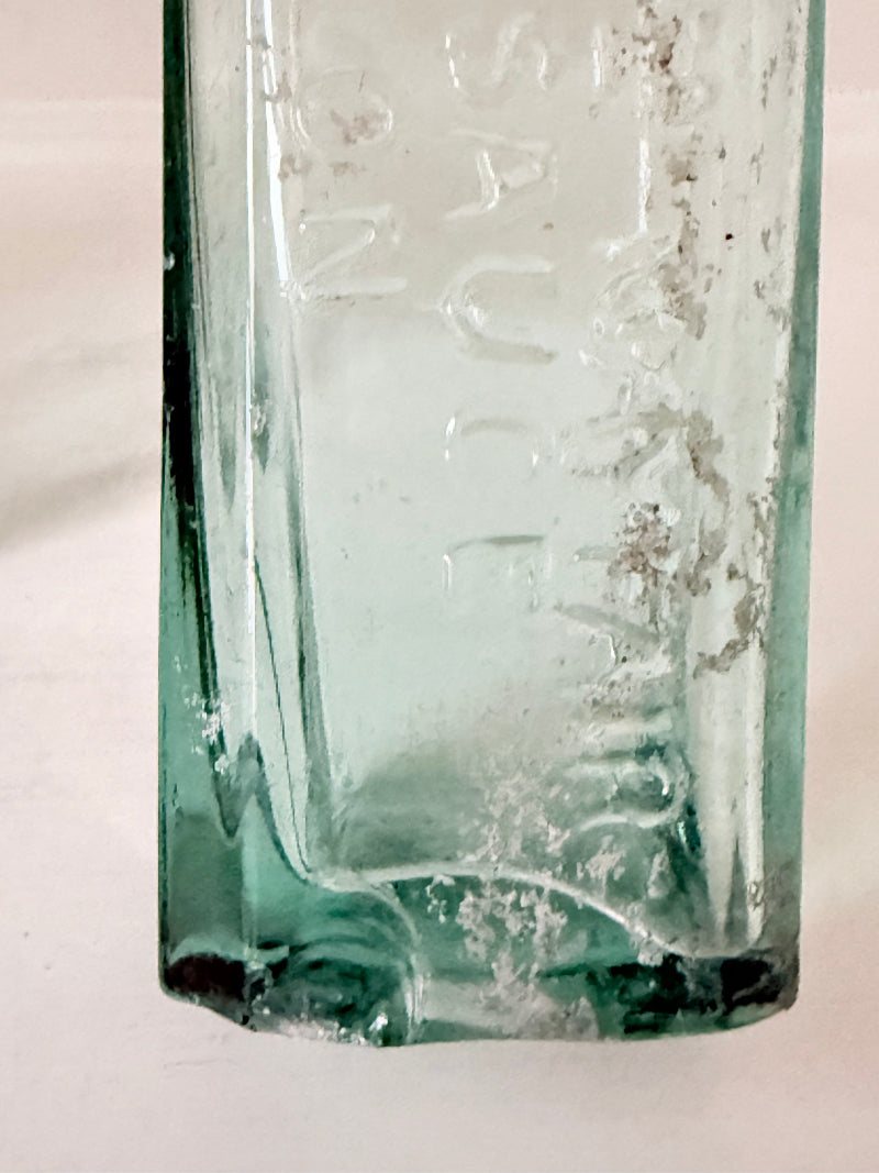 Trio of antique aqua glass bottles with embossed lettering, photographed on a white surface with dried stems