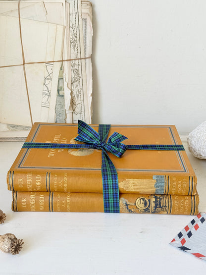 Pair of vintage Our Wonderful World books edited by J. A. Hammerton with mustard cloth covers, gilt lettering and blue decorative bands