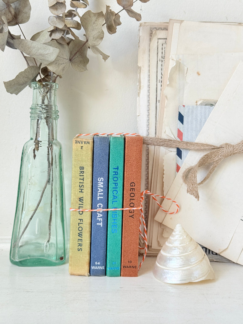 A styled flat-lay featuring a set of five vintage hardcover books with colorful spines (yellow, blue, green, orange) tied together with twine, next to a clear glass bottle with dried eucalyptus and a white seashell on a white surface.
