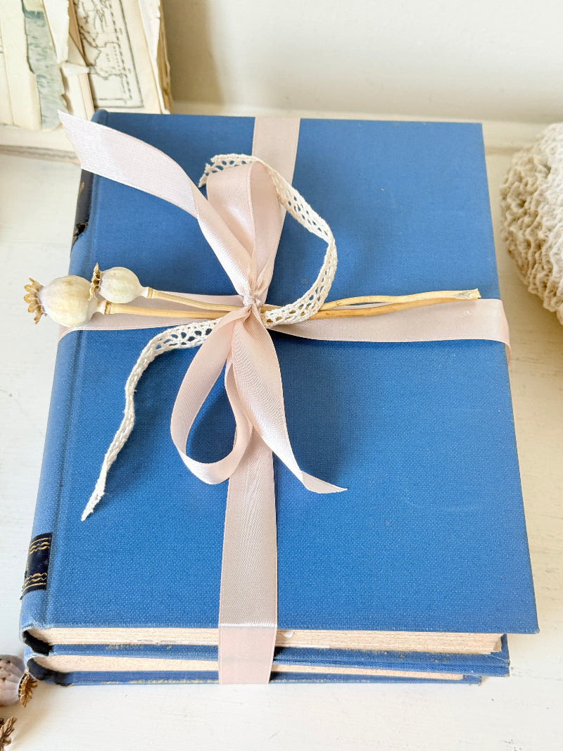 Pair of vintage Amateur Photographer books in blue cloth binding with gilt lettering tied with pale pink ribbon for shelf styling