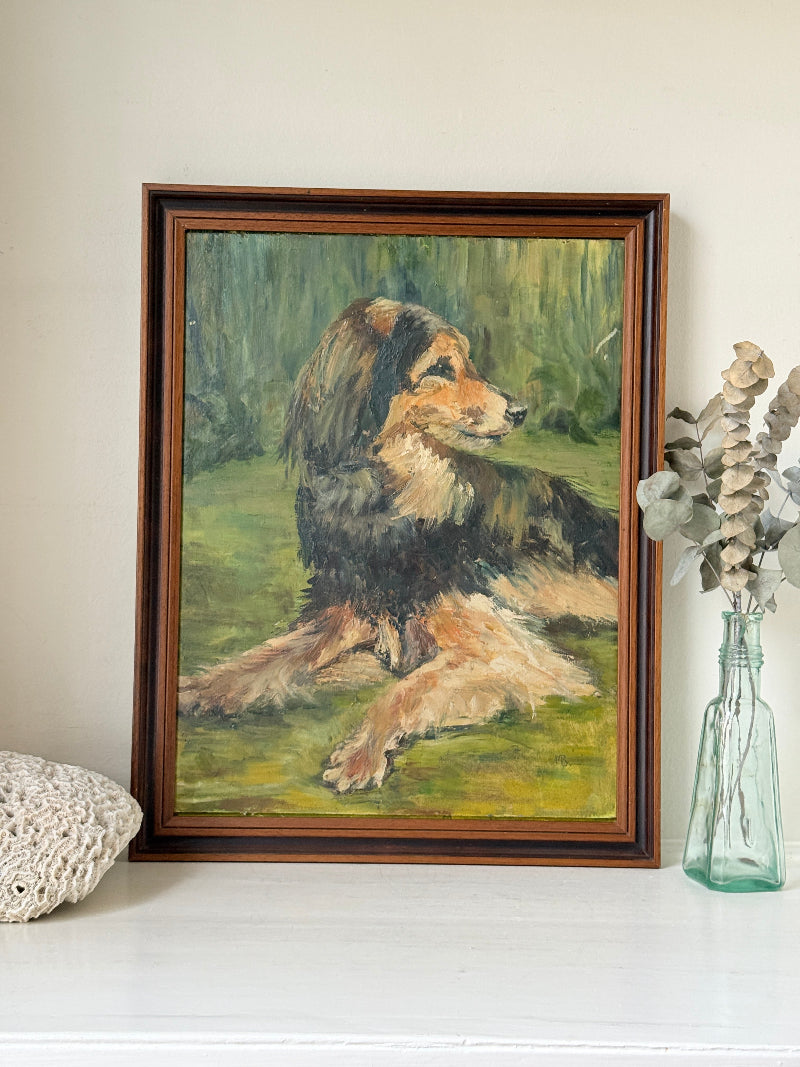 Oil on board portrait of a black and golden long haired dog on grass by Muriel Hester Broughton
