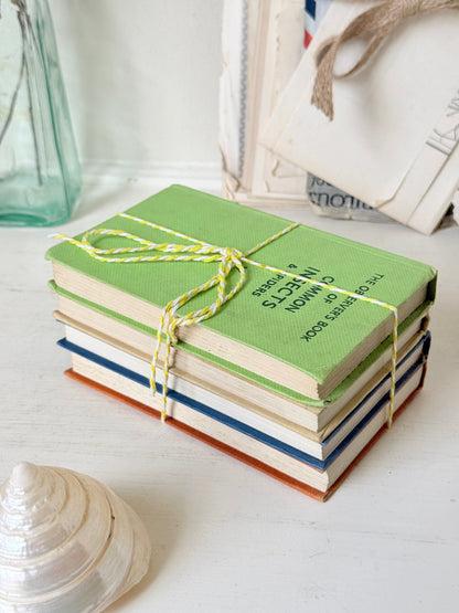 A stack of vintage hardcover books tied with yellow-and-white bakers twine, placed on a white wooden surface next to a seashell, with a glass bottle and other decorative items blurred in the background.