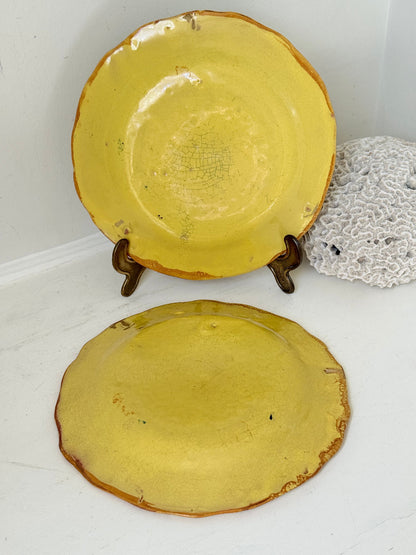 Pair of vintage yellow French faïence plates with hand painted blue floral design, photographed on a white surface