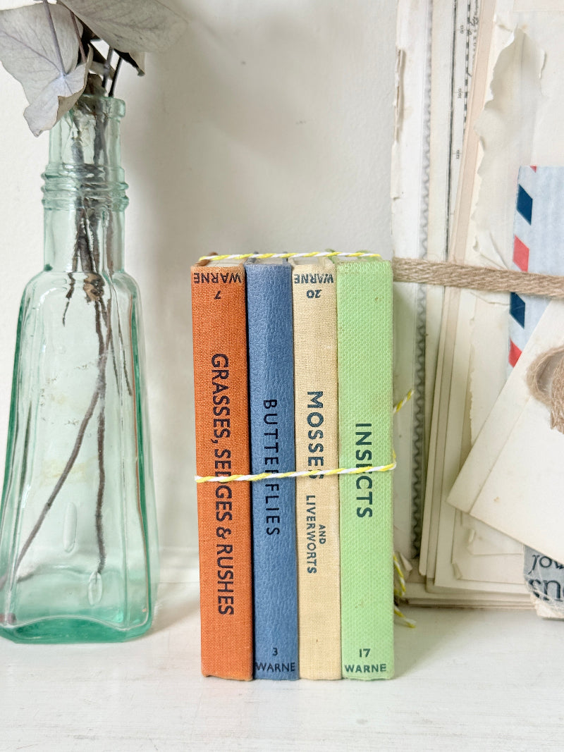 Four vintage hardcover books with colorful spines (orange, blue, cream, and light green) bound together by a yellow rubber band, styled next to a glass bottle and a stack of old letters.