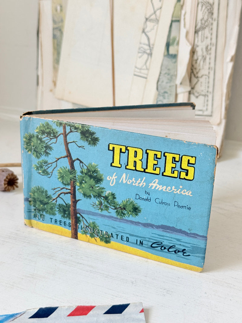 Vintage Trees of North America pocket nature guide by Donald Culross Peattie with colour illustrations and botanical cover