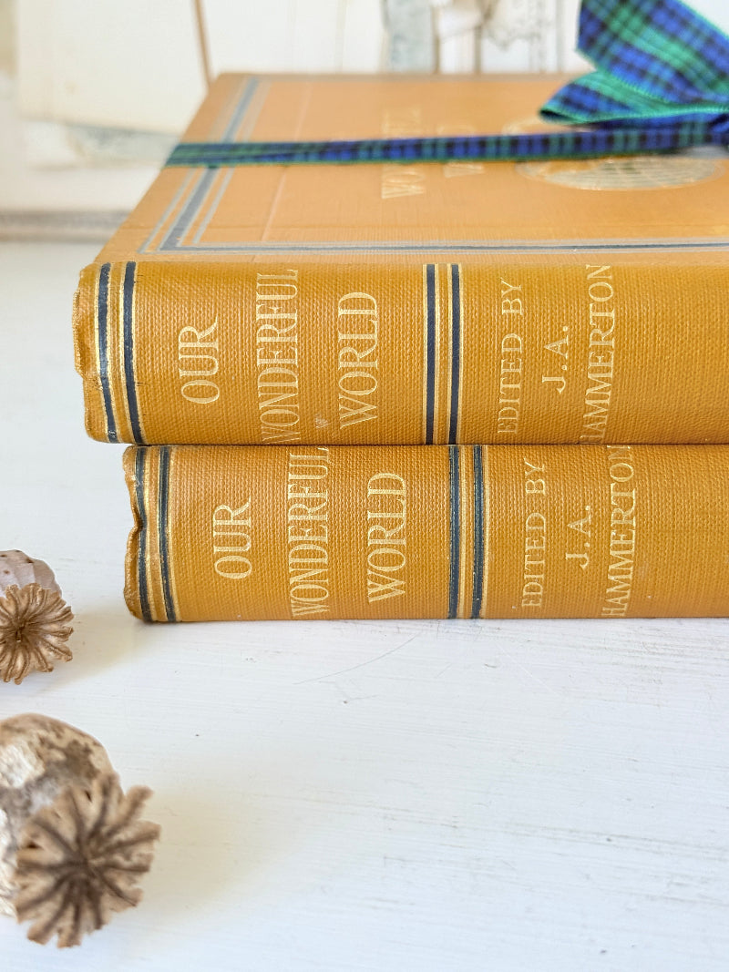 Pair of vintage Our Wonderful World books edited by J. A. Hammerton with mustard cloth covers, gilt lettering and blue decorative bands