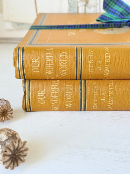 Pair of vintage Our Wonderful World books edited by J. A. Hammerton with mustard cloth covers, gilt lettering and blue decorative bands
