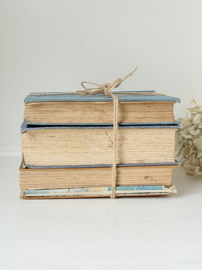 Vintage decorative book bundle in blue and ochre tied with twine, photographed on a white surface