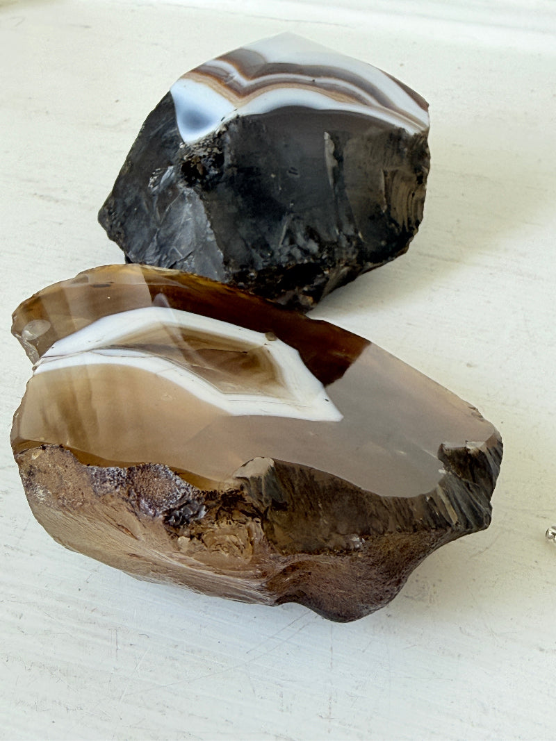 Pair of polished orca agate specimens with cream, brown and grey banding, photographed on a white surface