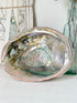 Large abalone shell with iridescent green and silver interior photographed on a white surface