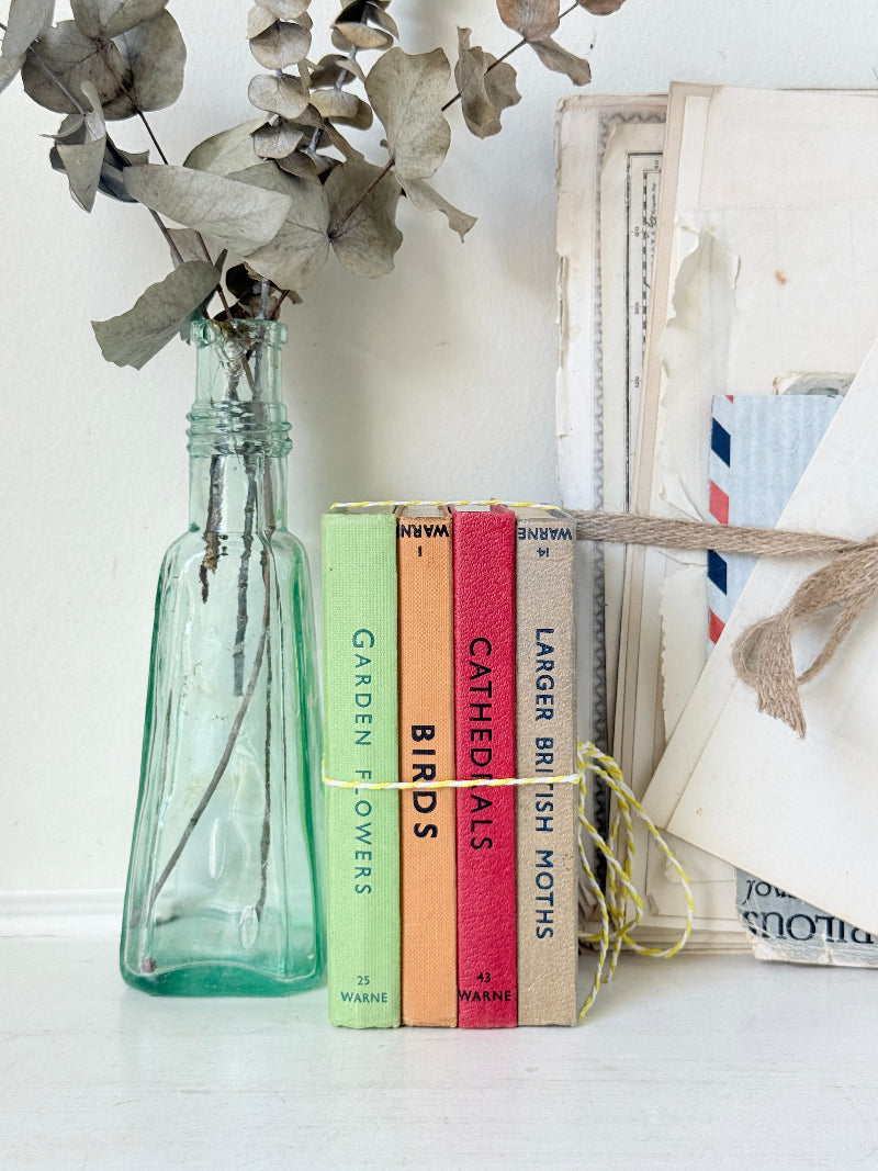 A styled flat-lay featuring a small, translucent teal glass bottle vase with dried eucalyptus stems, next to a vertical row of four colorful hardcover books (green, orange, pink, and beige) with titles like &