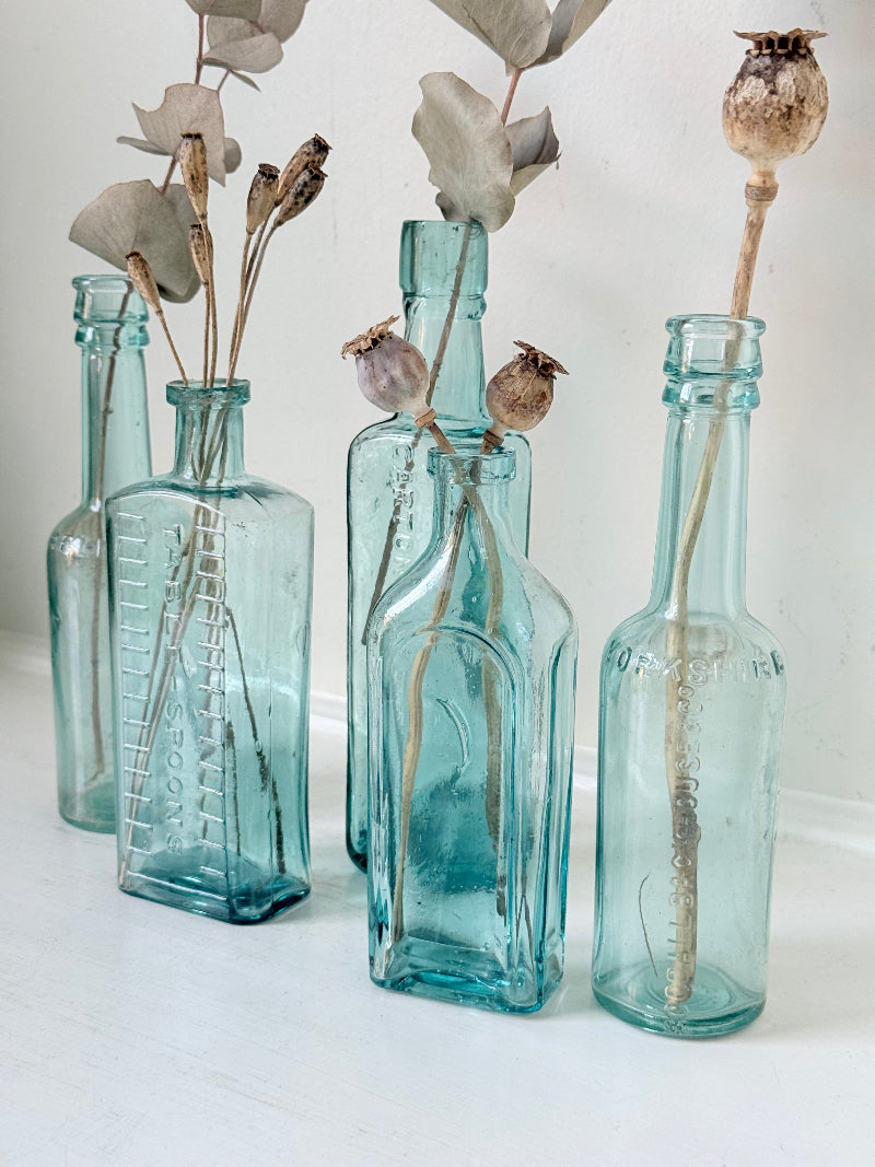 Set of five antique aqua glass bottles with embossed lettering, photographed on a white surface with dried stems