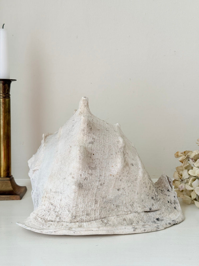 Large vintage Queen Helmet shell with ridged dome and cream tones, styled on a white surface beside brass candlesticks and dried hydrangeas.