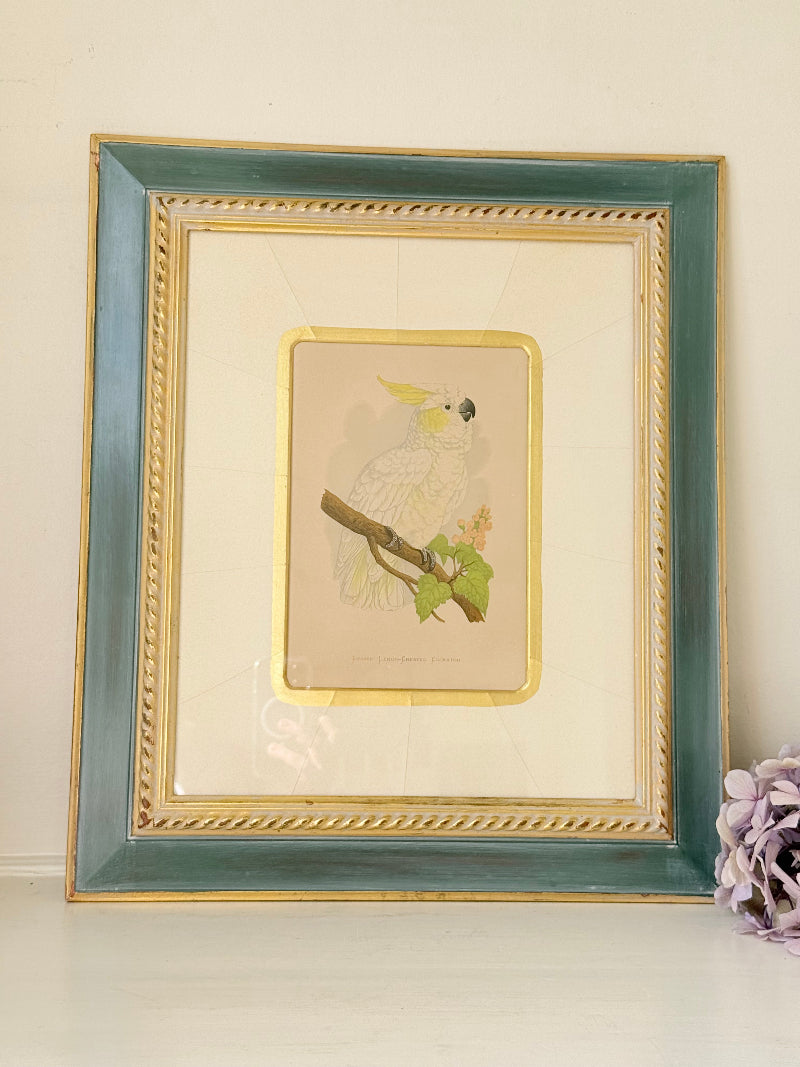 Framed cockatoo bird print in green and gold frame with mount, styled on white surface with vintage books
