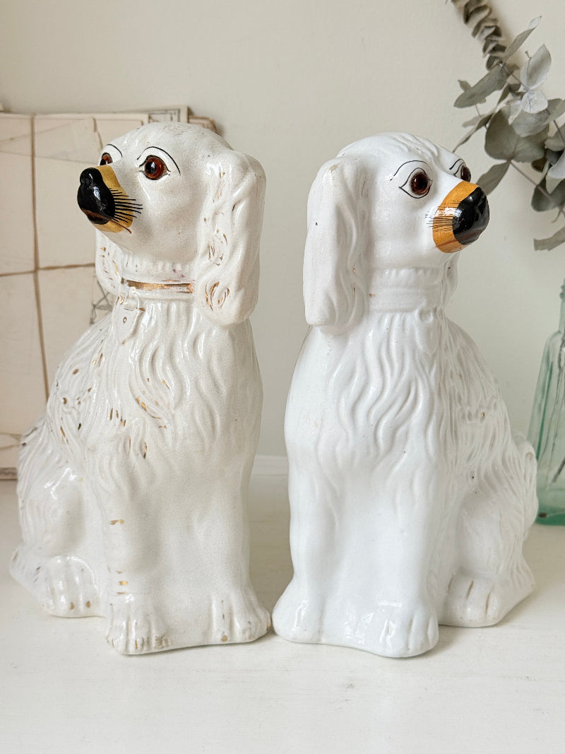 Near pair of antique white Staffordshire spaniel mantel dogs with glass eyes and worn gilt collars
