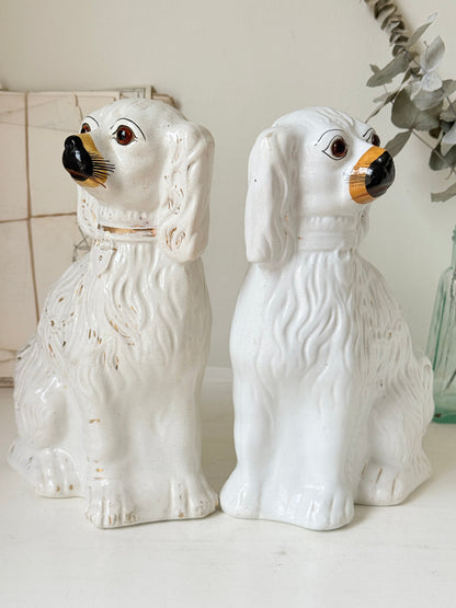 Near pair of antique white Staffordshire spaniel mantel dogs with glass eyes and worn gilt collars