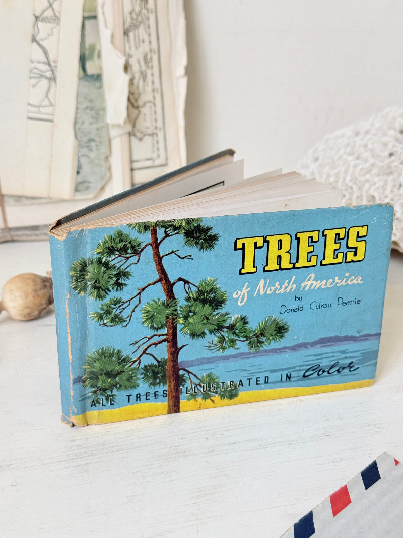 Vintage Trees of North America pocket nature guide by Donald Culross Peattie with colour illustrations and botanical cover