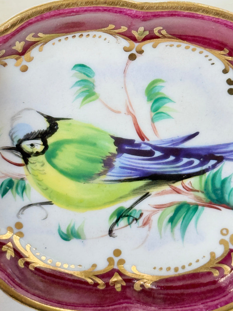 Vintage hand painted bird trinket dish with pink border and gilt detail photographed on a white surface