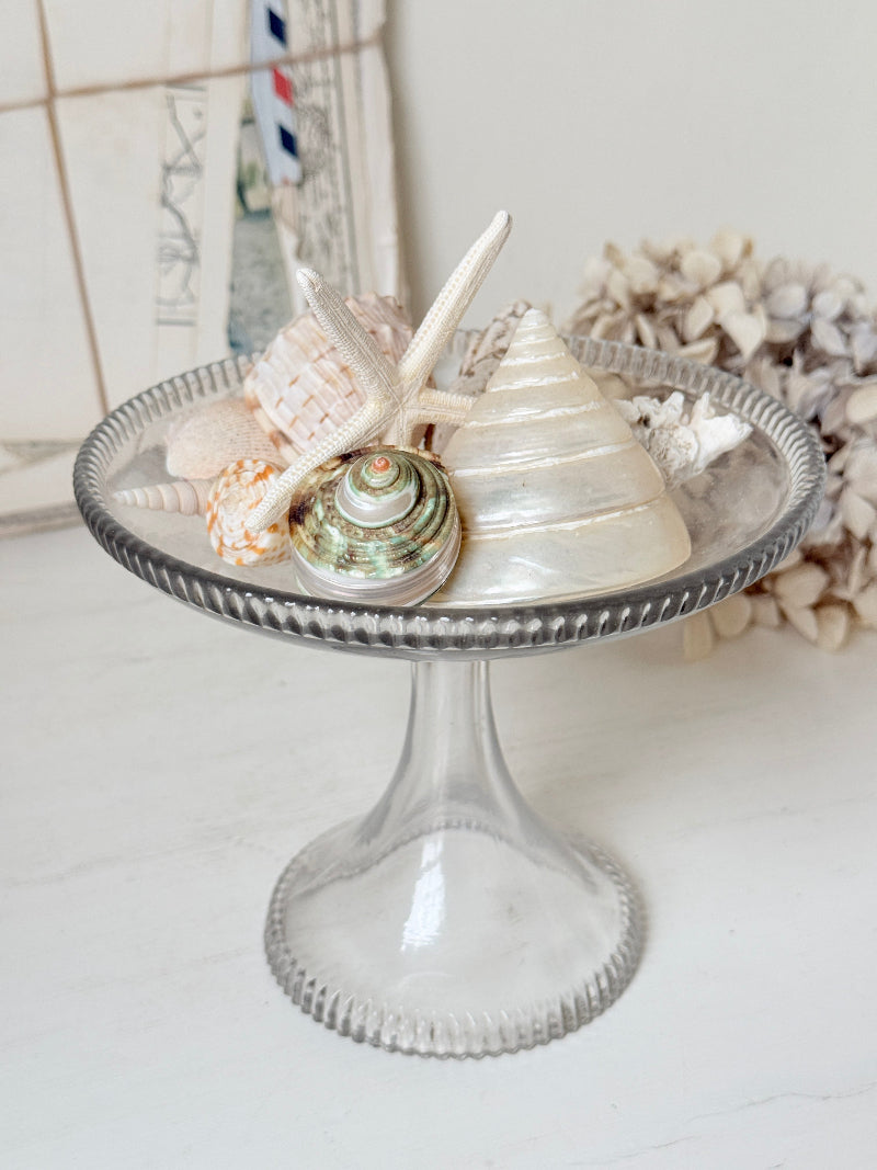 A clear glass pedestal plate filled with assorted seashells and a starfish, set on a white surface with a soft, neutral background.