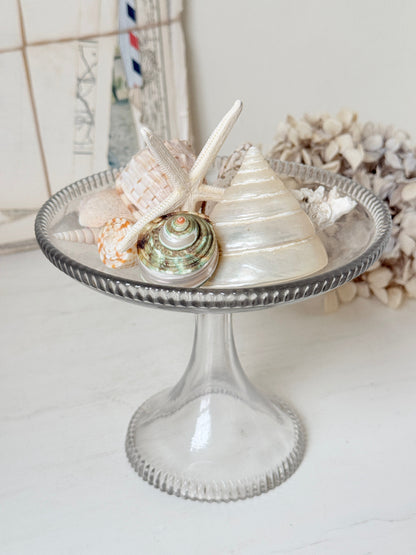 A clear glass pedestal plate filled with assorted seashells and a starfish, set on a white surface with a soft, neutral background.