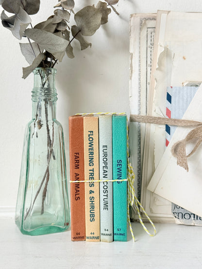 A styled tabletop scene with a clear glass bottle holding dried eucalyptus stems, next to a small set of vintage-style books with colorful spines labeled Farm Animals, Flowering Trees &amp; Shrubs, European Costume, and Sewing. More aged papers and a twine bundle are arranged on the right against a white background.
