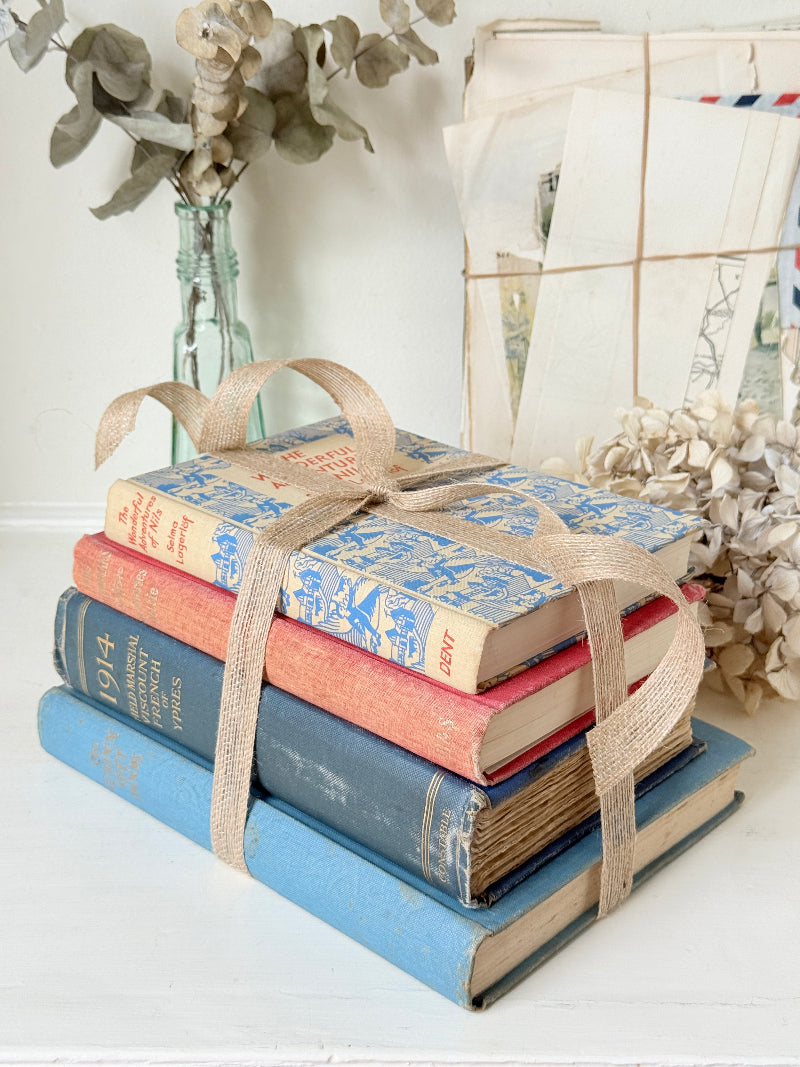Stack of cloth bound vintage books in blue red and tan tied with jute ribbon styled with dried eucalyptus