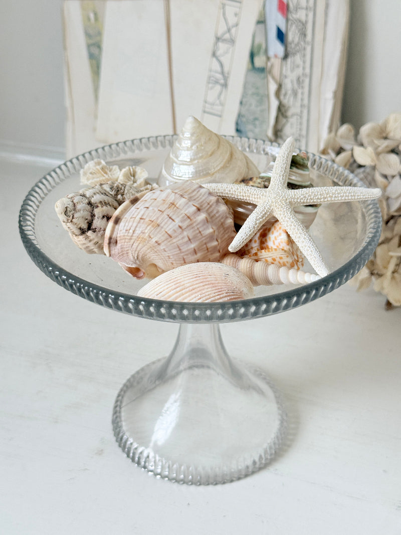 A clear glass pedestal bowl filled with assorted seashells and a white starfish, set on a light tabletop with a soft neutral background.
