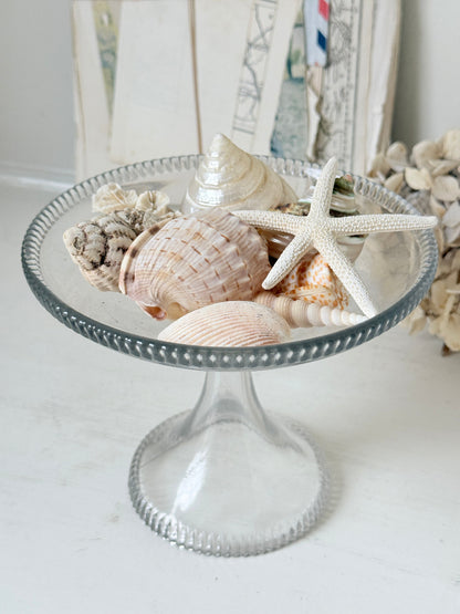 A clear glass pedestal bowl filled with assorted seashells and a white starfish, set on a light tabletop with a soft neutral background.