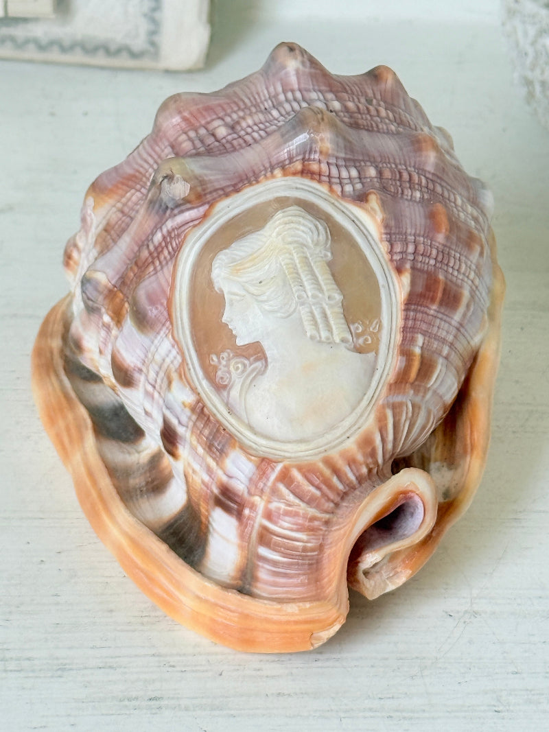 Hand carved cameo helmet shell with a classical female profile in pale relief on pink and brown