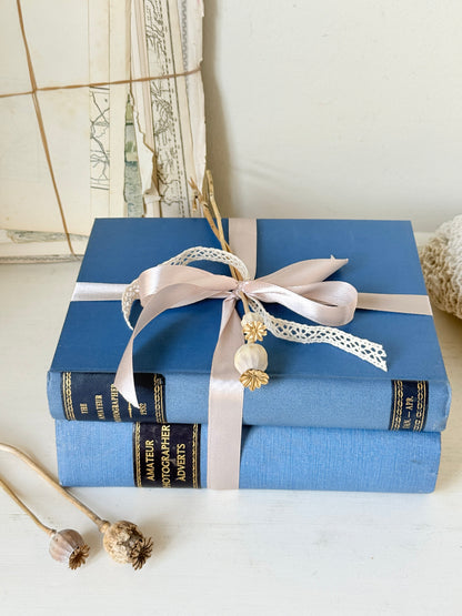 Pair of vintage Amateur Photographer books in blue cloth binding with gilt lettering tied with pale pink ribbon for shelf styling