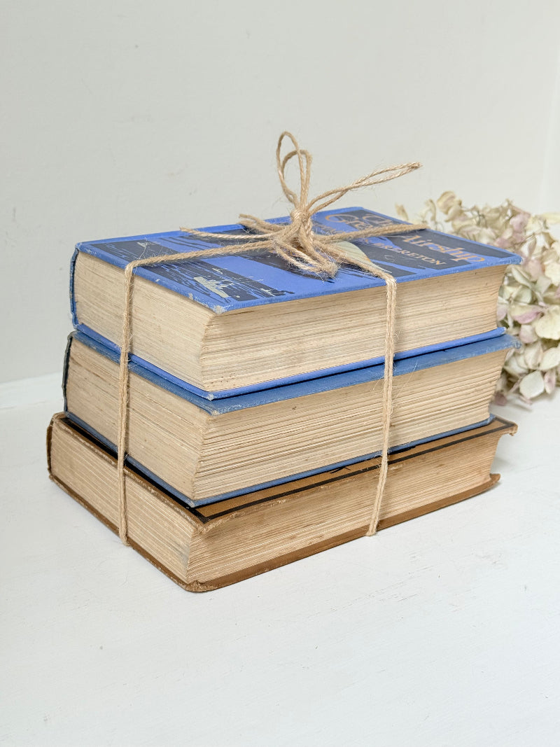 Vintage book bundle in blue, brown, and cream with printed lettering, tied with twine, photographed on a white surface