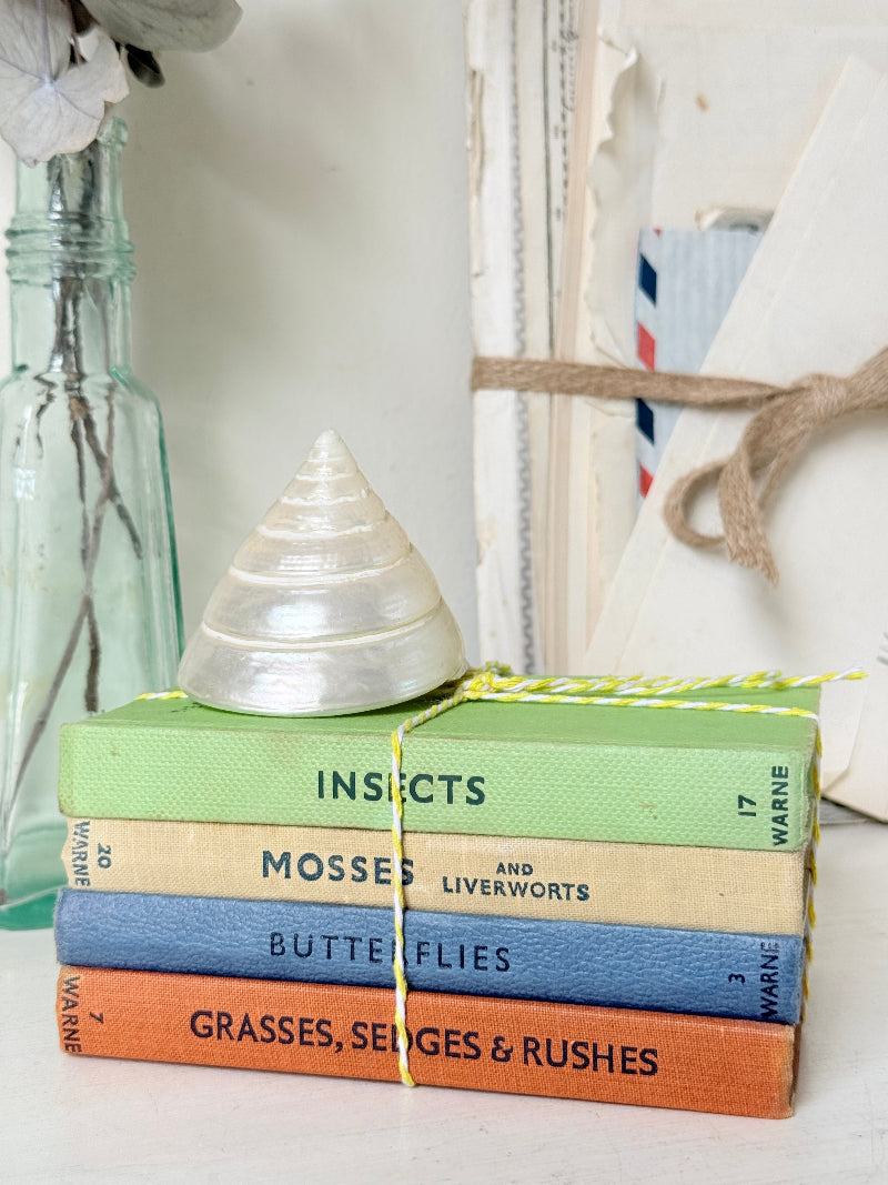 A stack of four vintage hardcover books tied with a yellow string, topped with a silver seashell. The books have colorful spines in green, beige, blue, and orange, with titles including &
